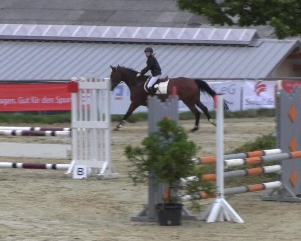 Bühren-Breckerfeld 2013