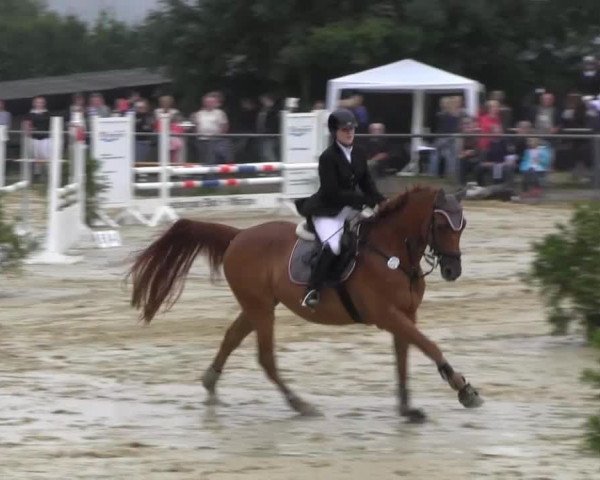Bühren-Breckerfeld 2013