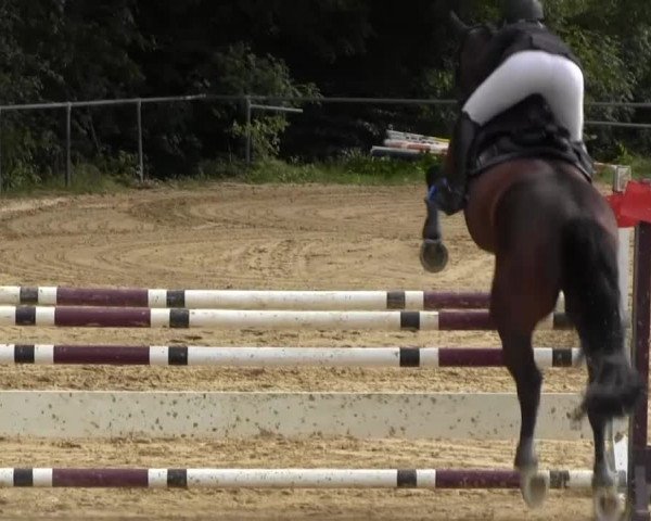 Bühren-Breckerfeld 2013