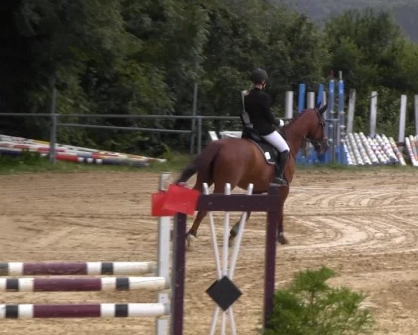 Bühren-Breckerfeld 2013