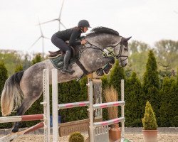 jumper Don't Stop Believin' (Westphalian, 2016, from Diacontinus)