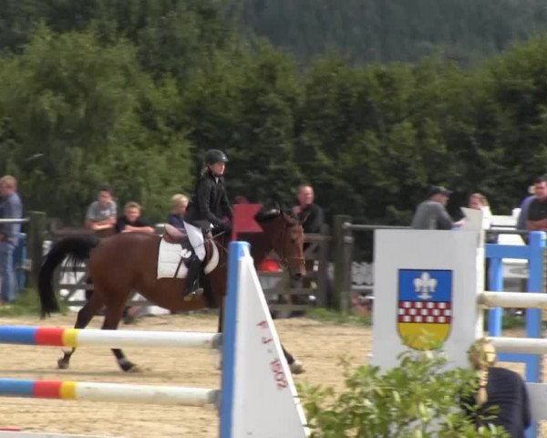Bühren-Breckerfeld 2013