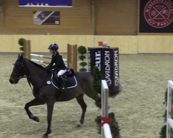 Reitturnier Paderborn 2021