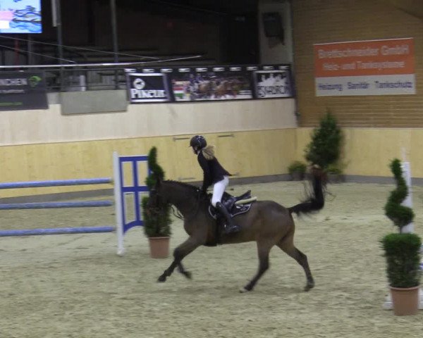 Reitturnier Paderborn 2021