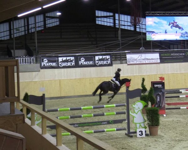 Reitturnier Paderborn 2021