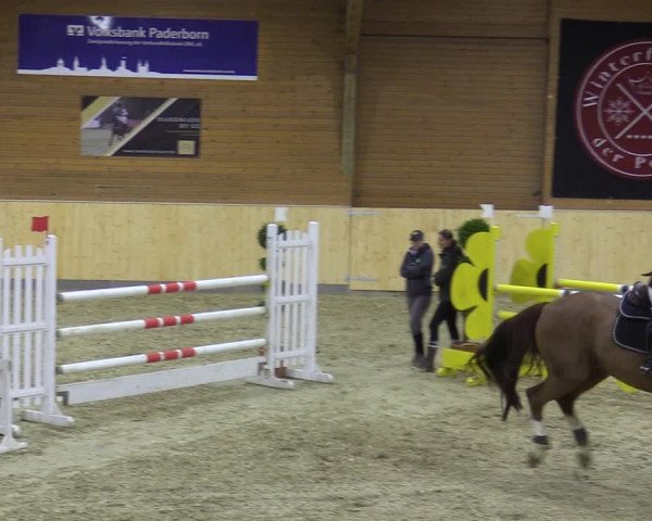 Reitturnier Paderborn 2021