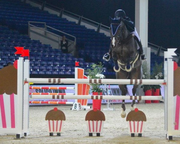 jumper Cash Flow III (Holsteiner, 2008, from Calato)