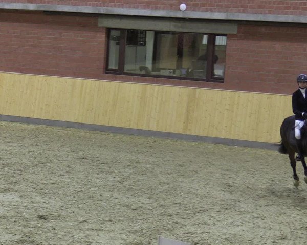 Reitturnier Paderborn 2021