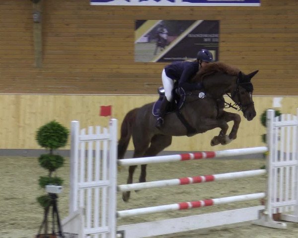 Reitturnier Paderborn 2021