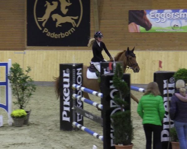 Reitturnier Paderborn 2021