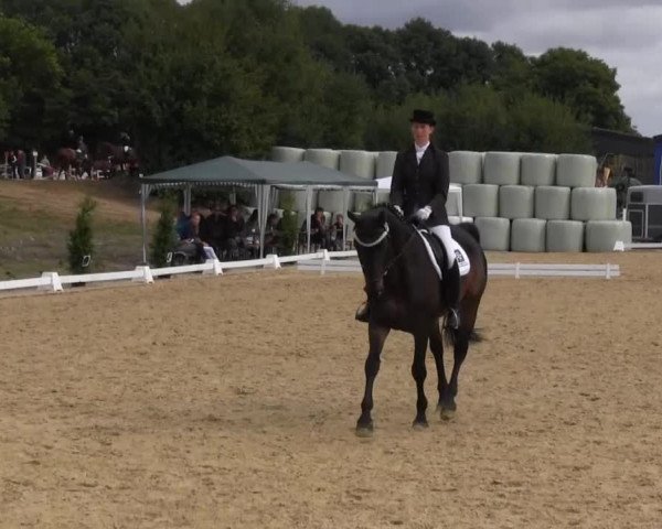 Bühren-Breckerfeld 2013