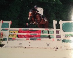 jumper Carla 151 (Hanoverian, 2008, from Comte)