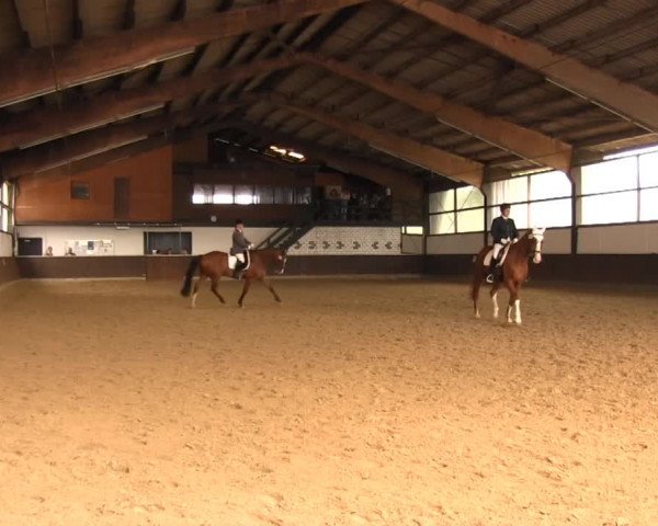 Bühren-Breckerfeld 2013