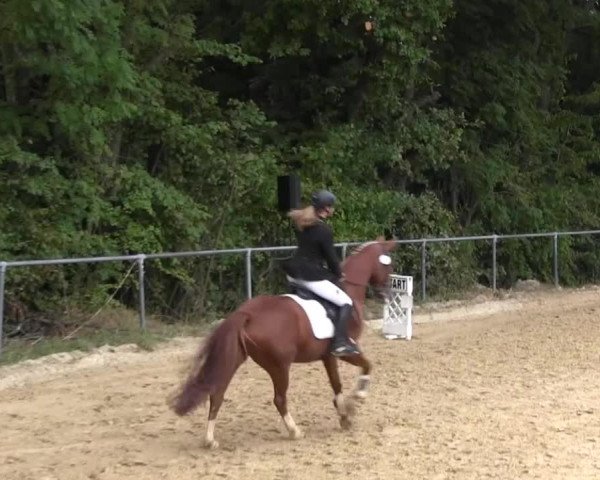Bühren-Breckerfeld 2013