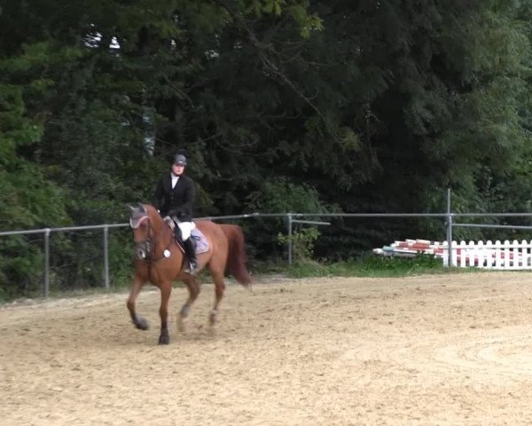 Bühren-Breckerfeld 2013