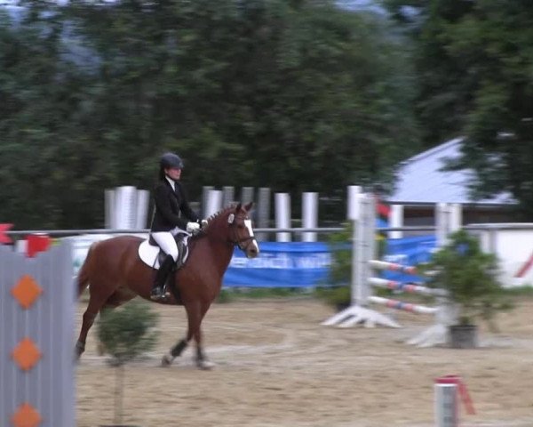 Bühren-Breckerfeld 2013