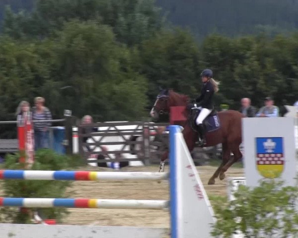 Bühren-Breckerfeld 2013