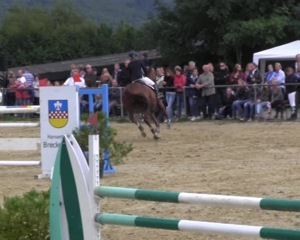 Bühren-Breckerfeld 2013