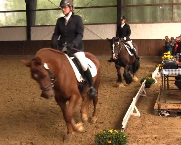 Bühren-Breckerfeld 2013