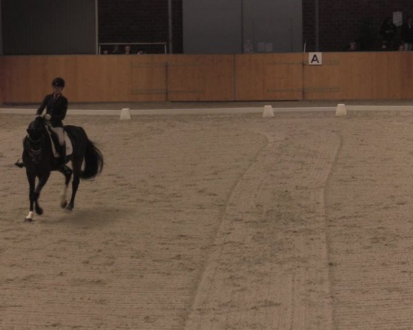 Reitturnier Güstrow/Cavallo Arena 2021