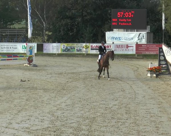 Reitturnier Bad Rothenfelde 2013