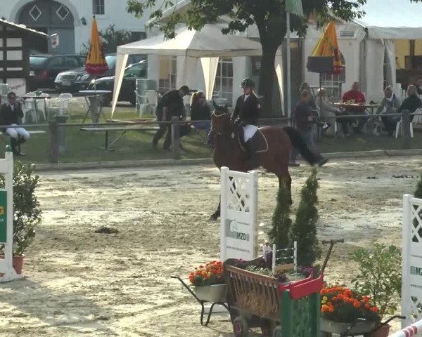 Reitturnier Bad Rothenfelde 2013