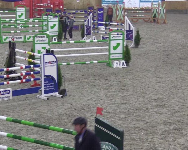 Reitturnier Großenwiehe 2021