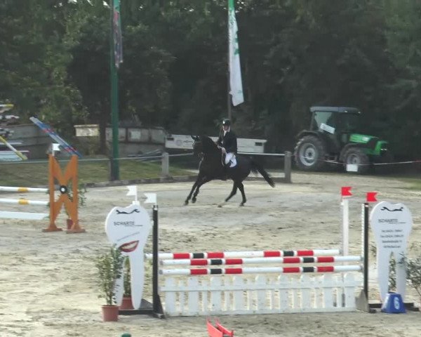 Reitturnier Bad Rothenfelde 2013