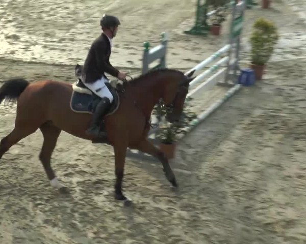 Bad Rothenfelde 2013