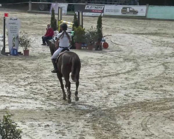 Bad Rothenfelde 2013