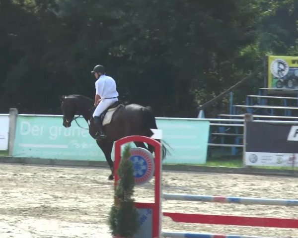Bad Rothenfelde 2013