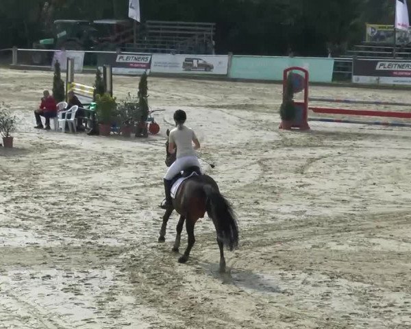 Bad Rothenfelde 2013