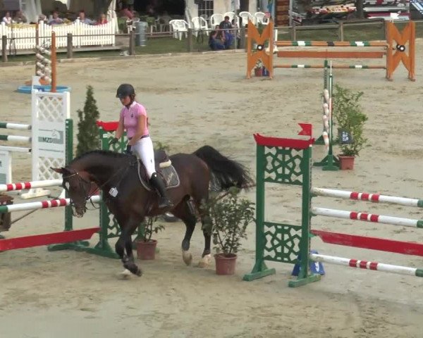 Bad Rothenfelde 2013