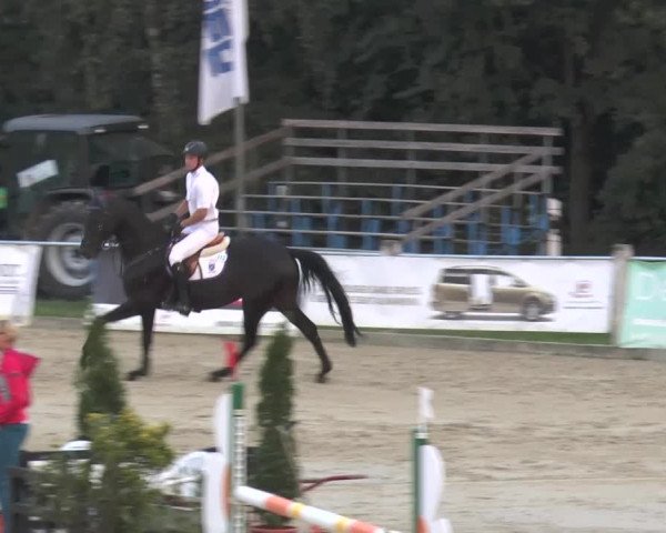 Reitturnier Bad Rothenfelde 2013