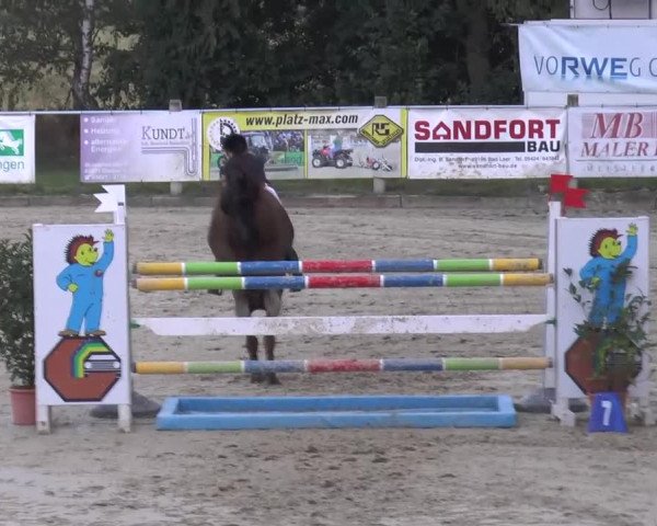 Reitturnier Bad Rothenfelde 2013