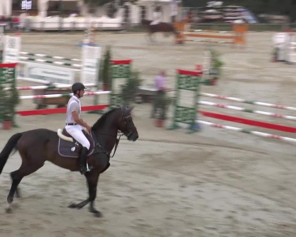 Reitturnier Bad Rothenfelde 2013