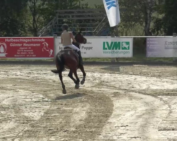 Bad Rothenfelde 2013