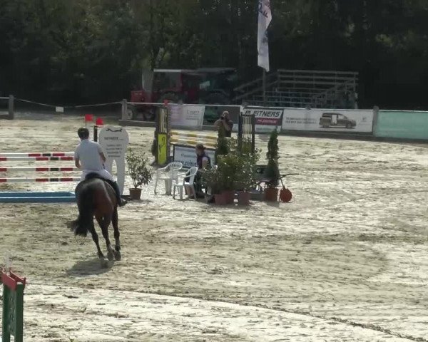 Bad Rothenfelde 2013