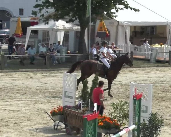 Bad Rothenfelde 2013