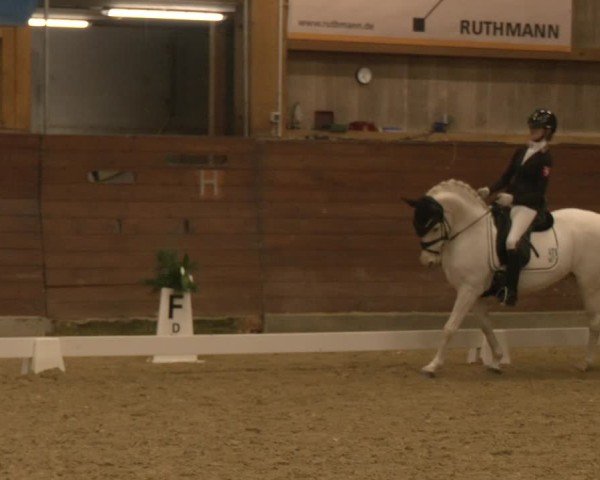 Reitturnier Coesfeld/Lette 2024