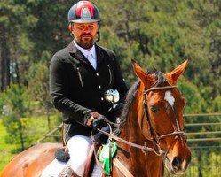 jumper Aloube (KWPN (Royal Dutch Sporthorse), 2005, from Ludwig von Bayern 168 FIN)
