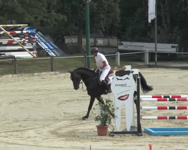 Bad Rothenfelde 2013