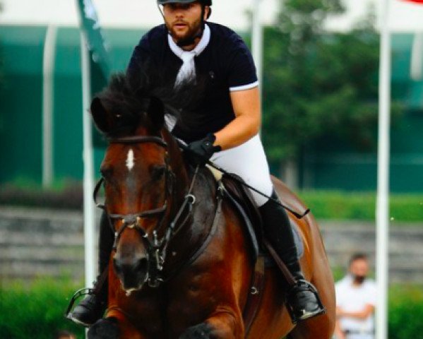 horse Uranda (KWPN (Royal Dutch Sporthorse), 2001, from Murano)