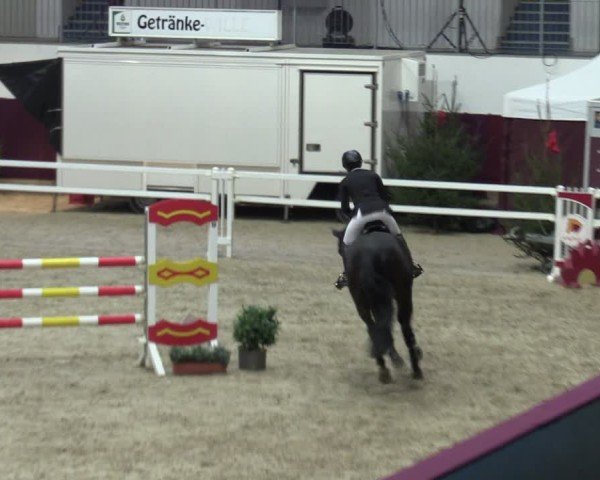 Reitturnier Neustadt/Dosse - Graf von Lindenau-Halle 2024