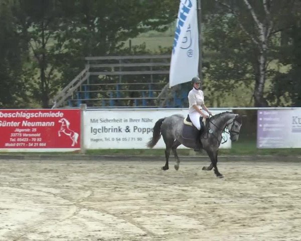 Reitturnier Bad Rothenfelde 2013