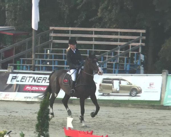 Reitturnier Bad Rothenfelde 2013