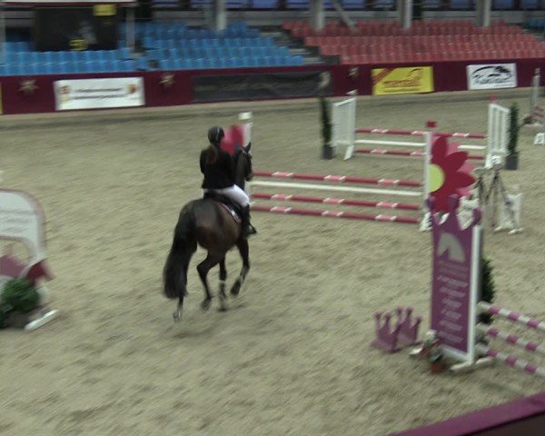 Reitturnier Neustadt/Dosse - Graf von Lindenau-Halle 2024