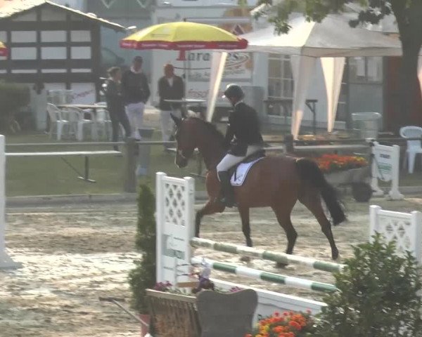 Reitturnier Bad Rothenfelde 2013