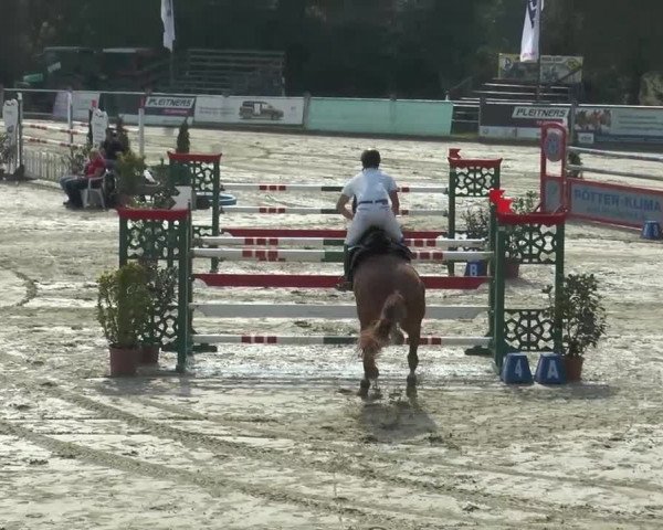 Bad Rothenfelde 2013