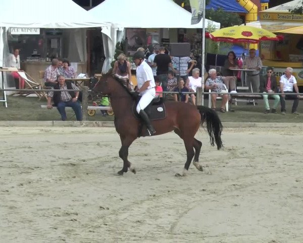 Bad Rothenfelde 2013